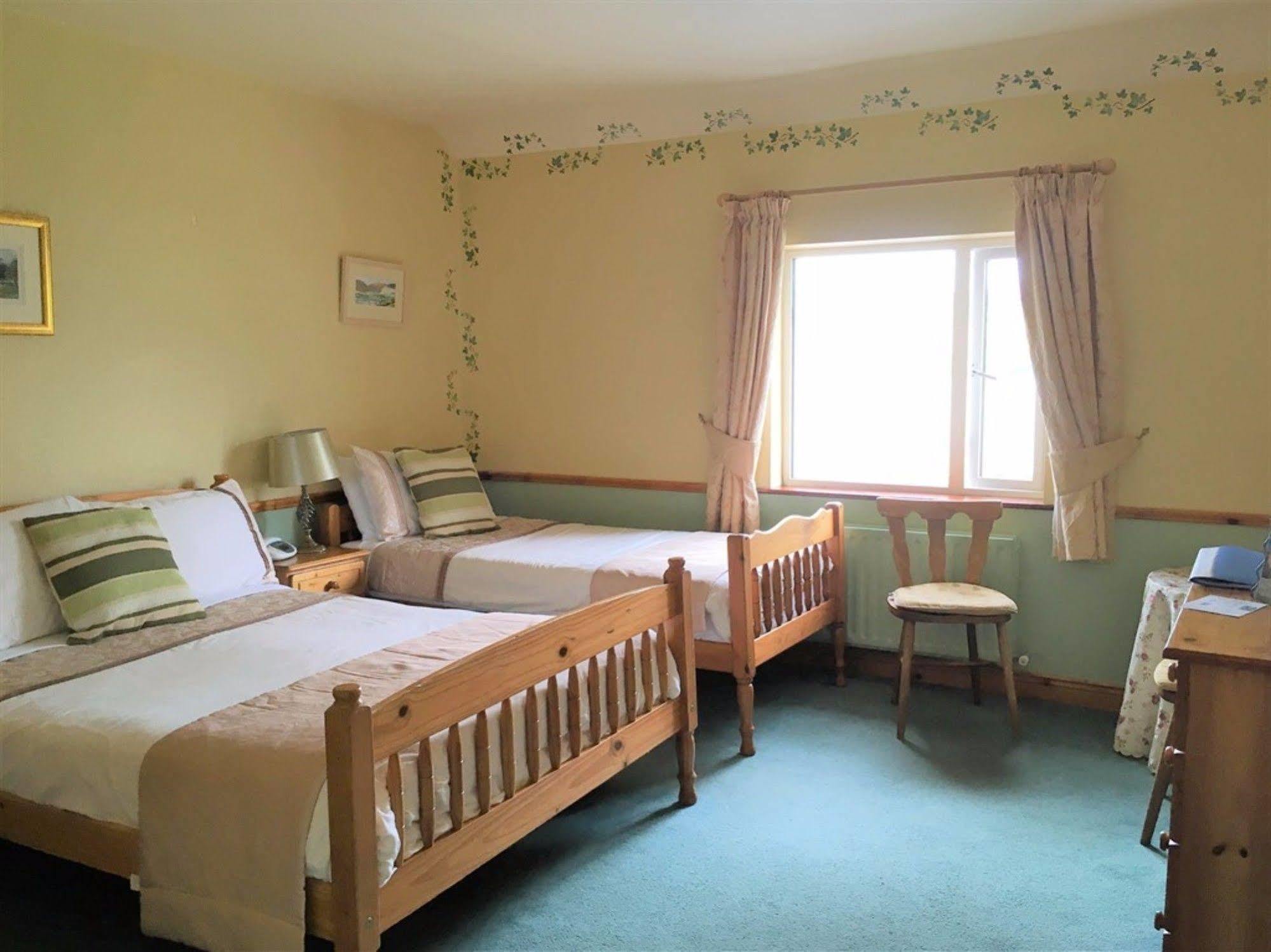 O'Connor'S Guest House Дингл Экстерьер фото