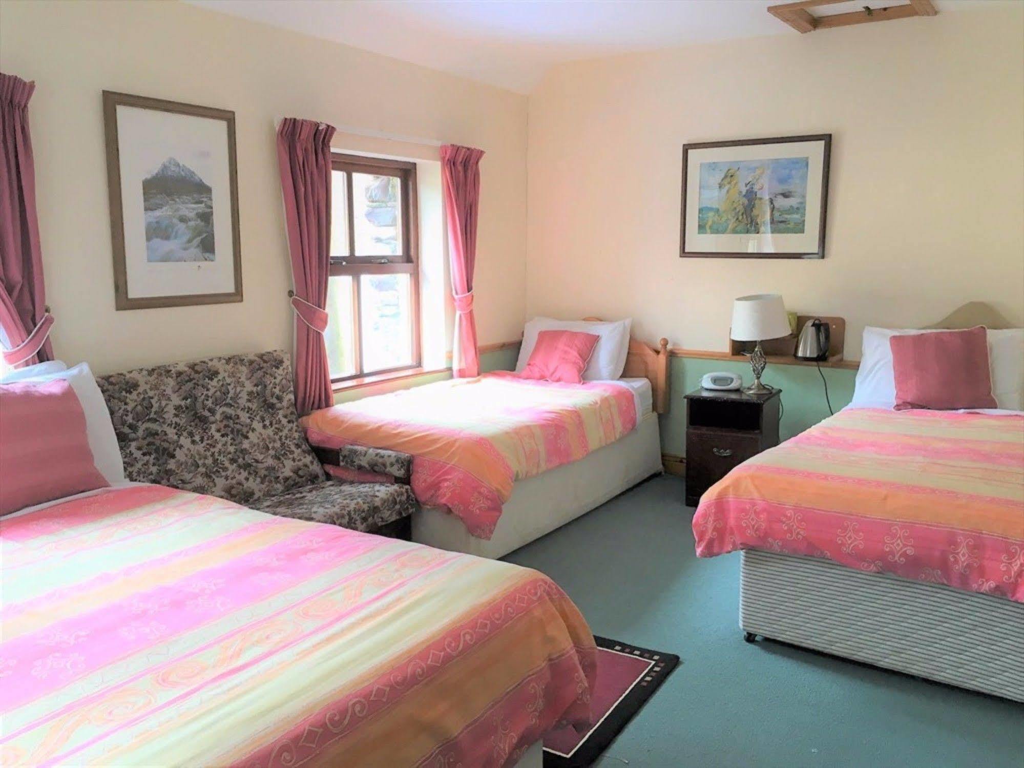 O'Connor'S Guest House Дингл Экстерьер фото